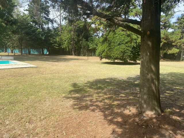 place photo 58