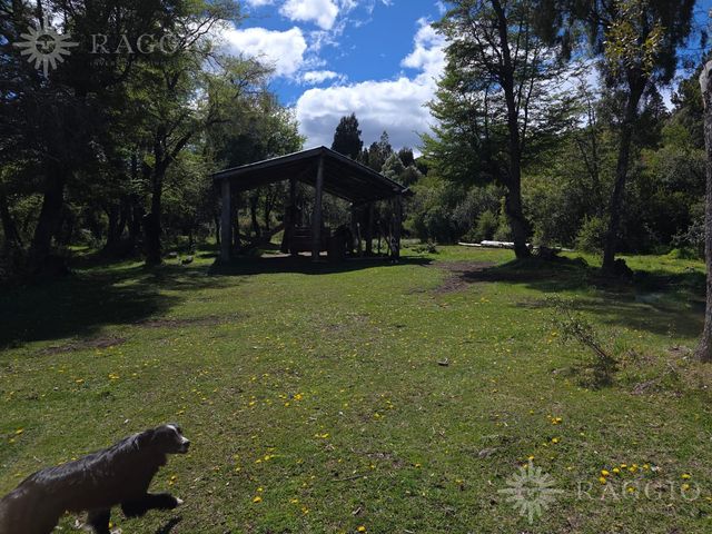 place photo 29