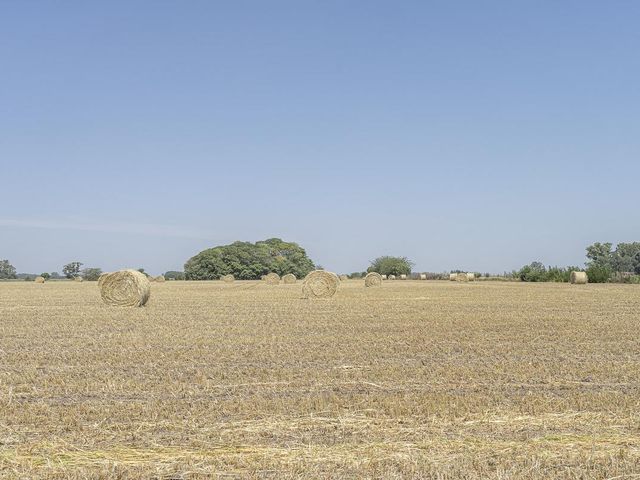 place photo 52