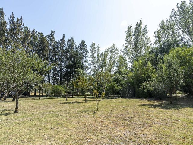 place photo 70