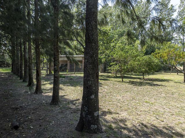 place photo 62