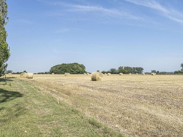 place photo 61