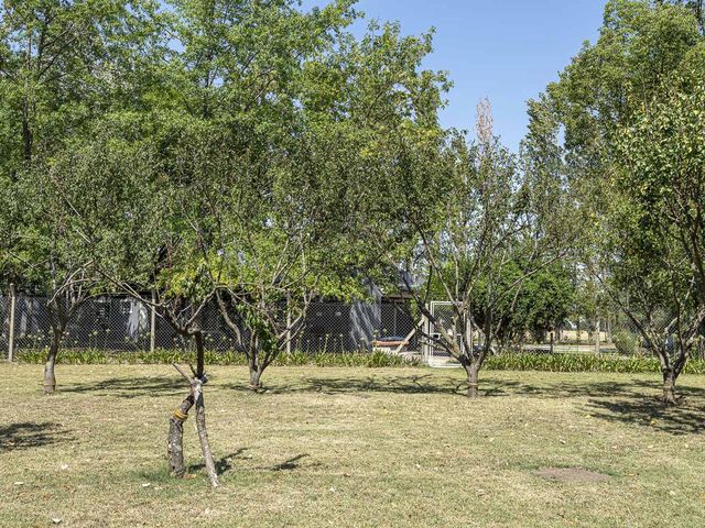 place photo 64