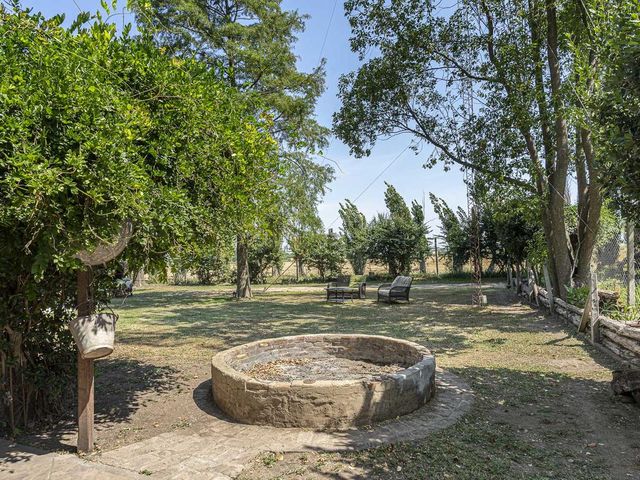 place photo 83