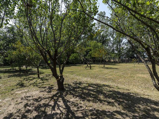 place photo 67