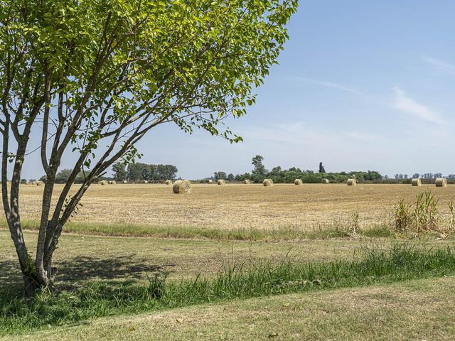 place photo 57