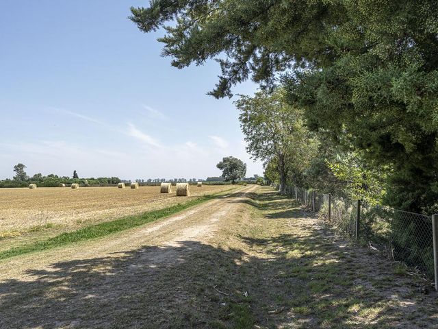 place photo 53