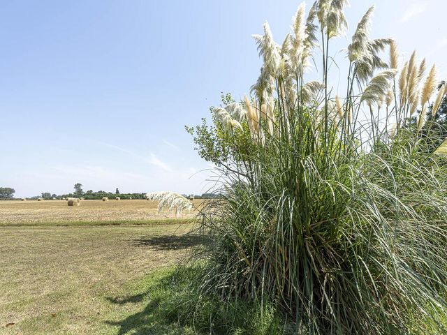 place photo 49