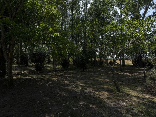 place photo 69
