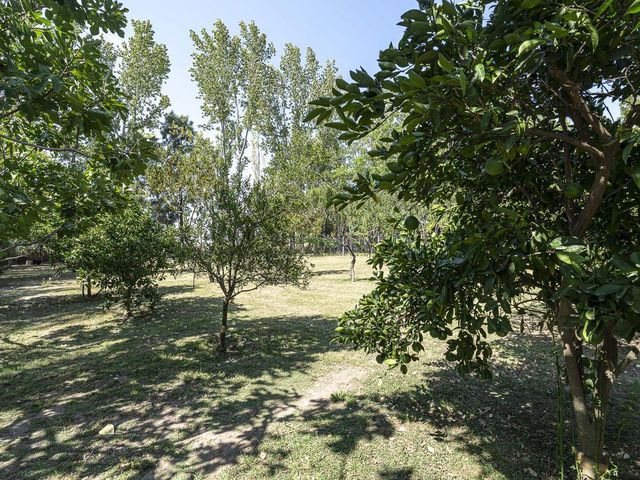 place photo 65