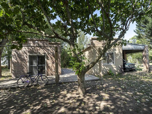 place photo 44
