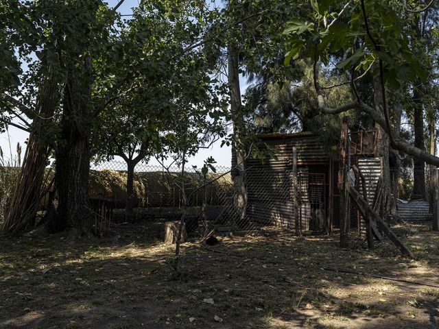 place photo 66