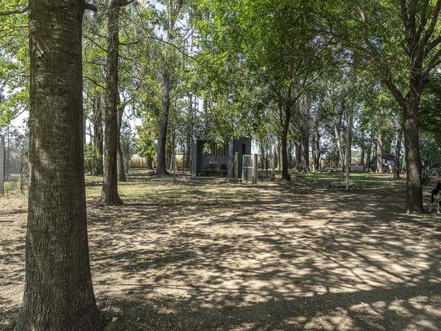 place photo 96