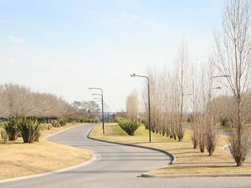 place photo 58