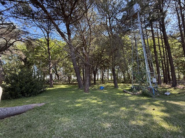 place photo 63