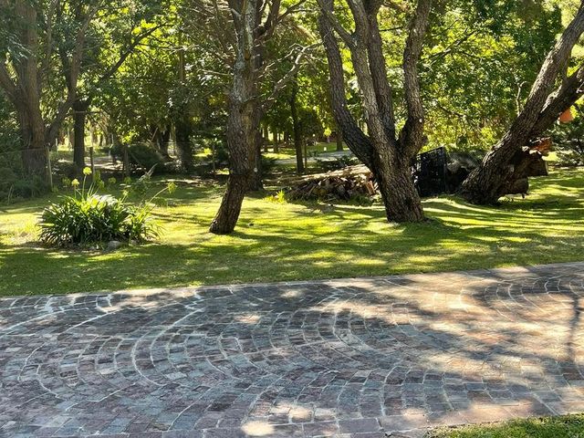place photo 45