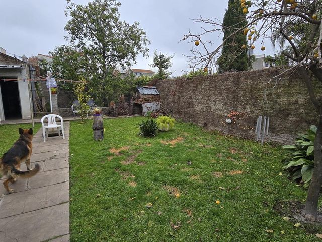 place photo 35