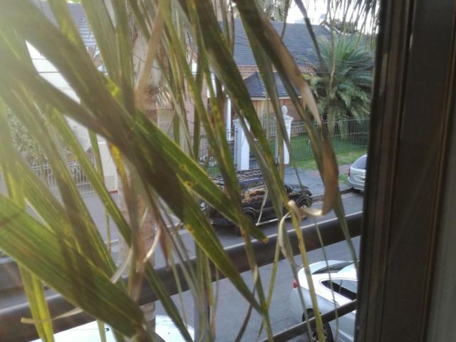 place photo 33