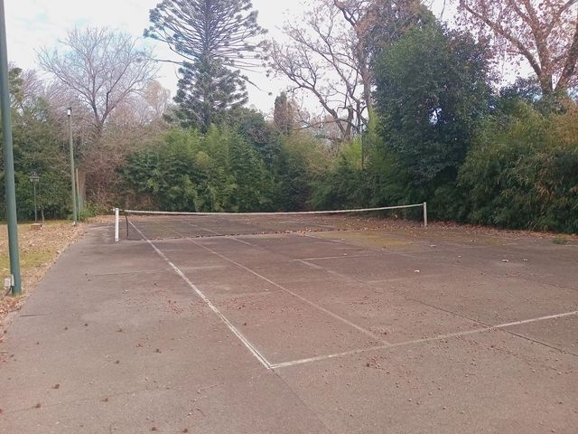 place photo 12