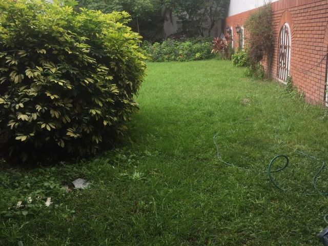 place photo 36