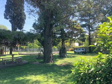 place photo 16