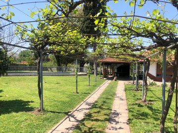 place photo 13