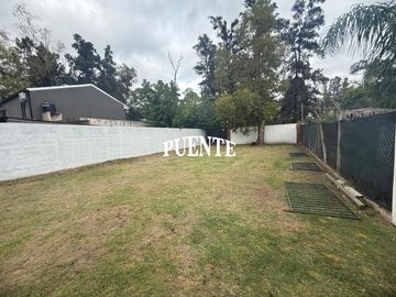 place photo 26