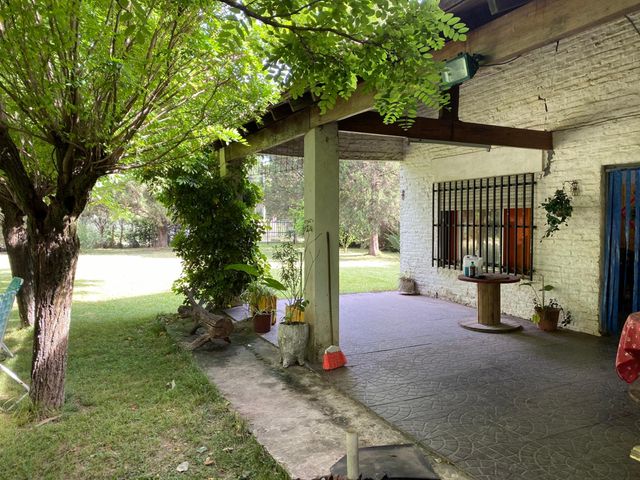 place photo 14