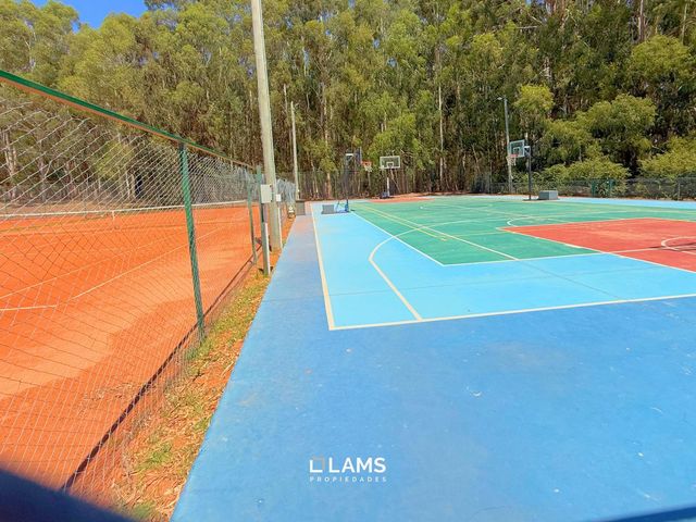 place photo 53