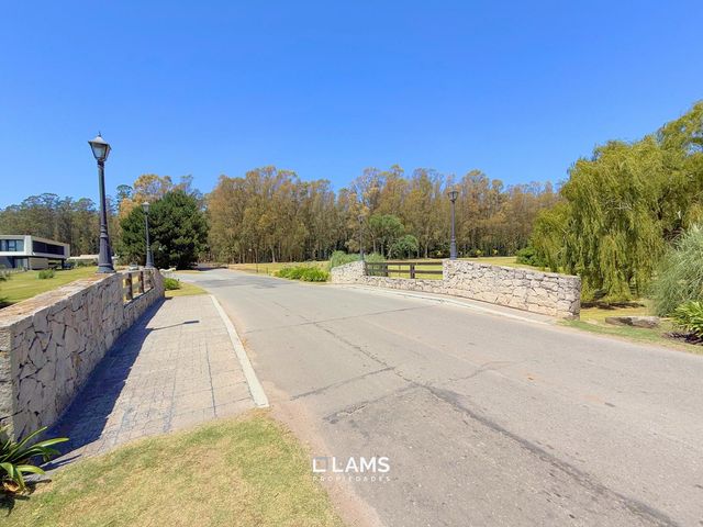 place photo 62