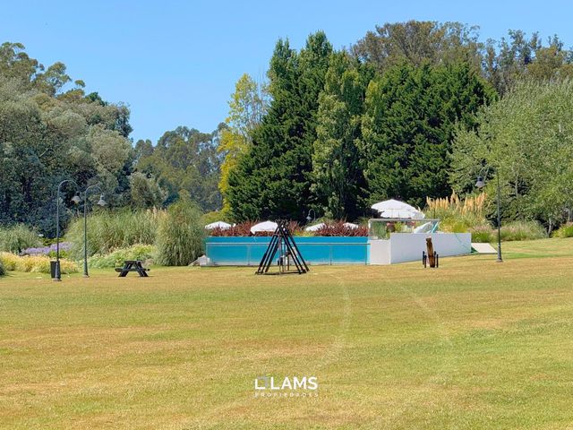 place photo 45