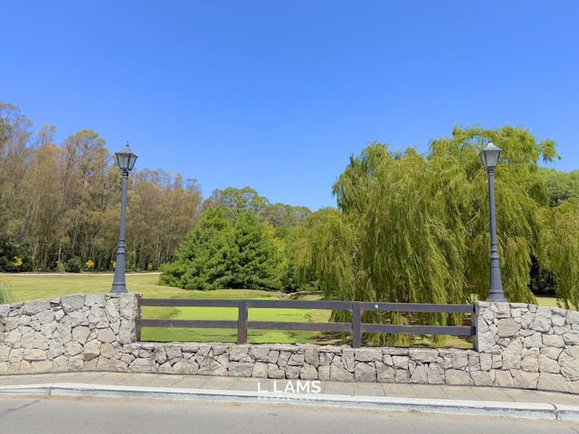 place photo 58