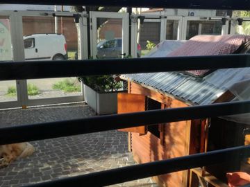 place photo 50