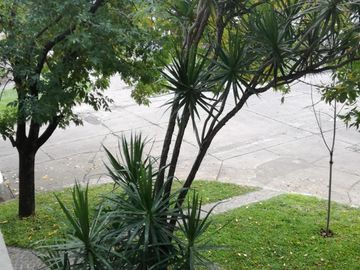 place photo 25