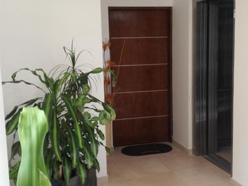 place photo 41