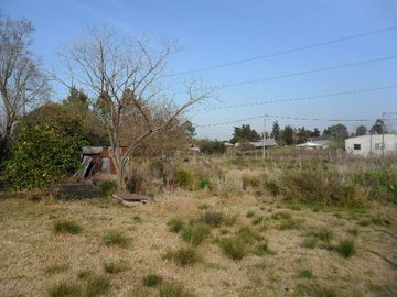 place photo 5