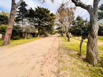 place photo 19