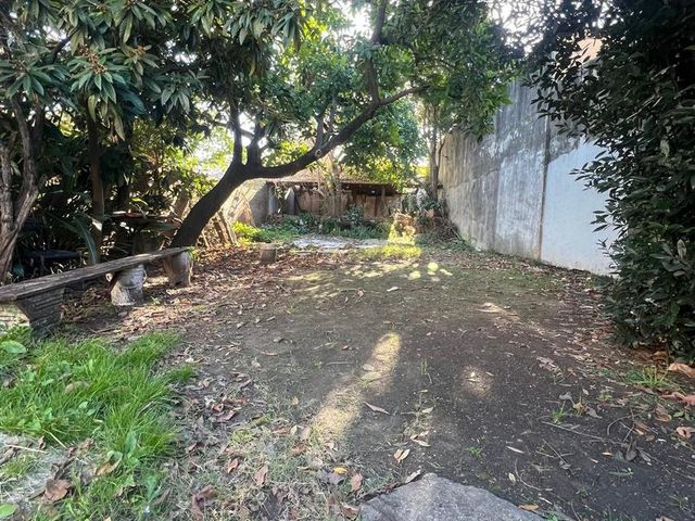 place photo 15