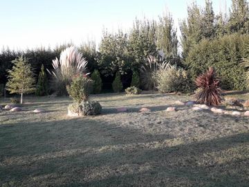 place photo 33