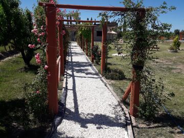 place photo 48