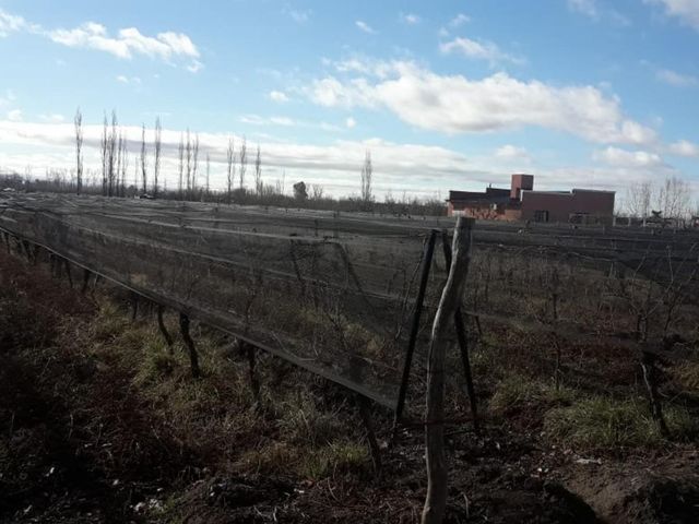 place photo 51