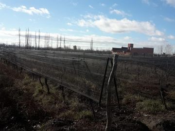 place photo 51
