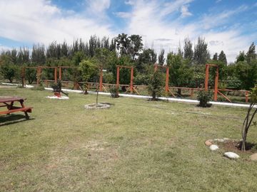 place photo 38
