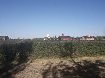 place photo 42