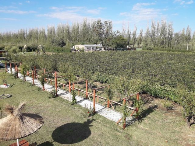 place photo 49
