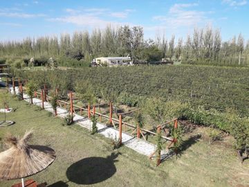 place photo 49