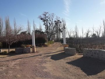 place photo 52