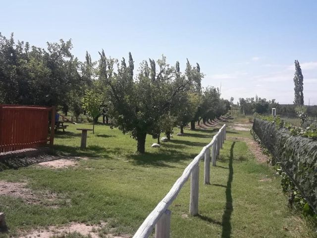place photo 46