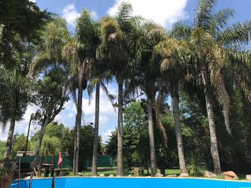 place photo 32