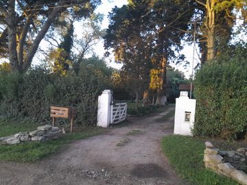 place photo 23